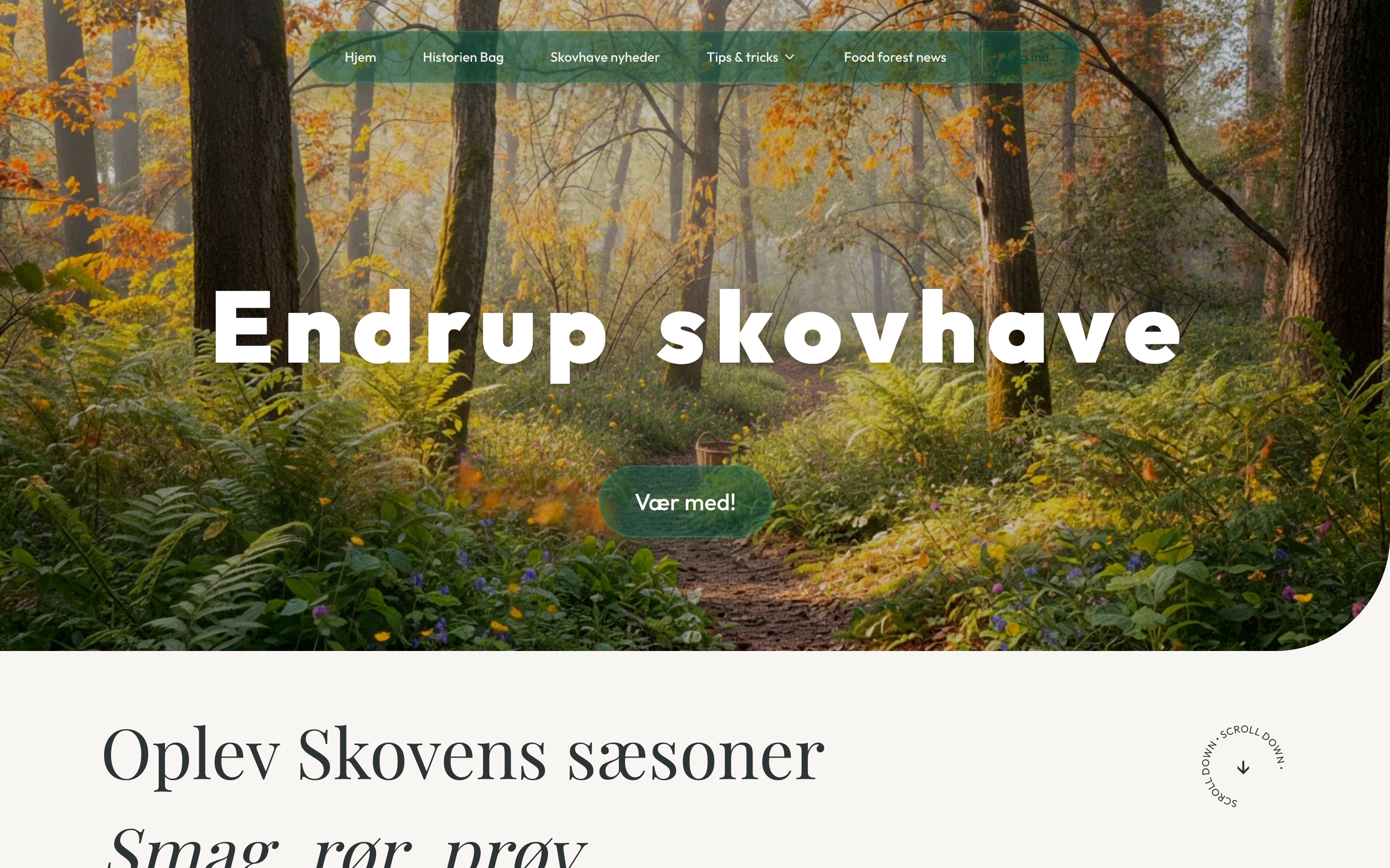 Endrup Skovhave